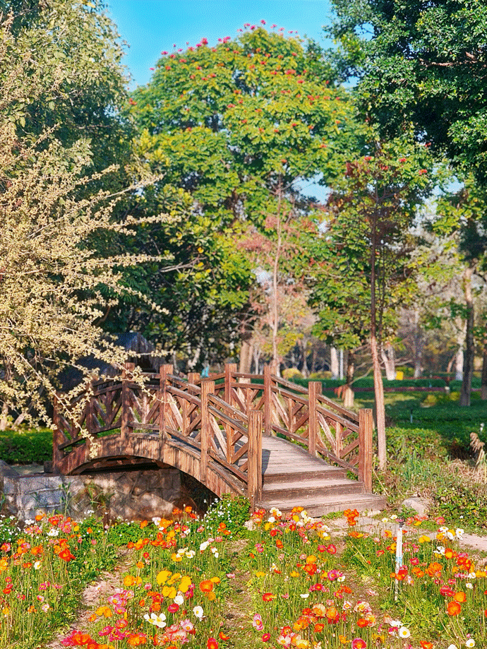 6138bcd39832ff0a59ae75860b0368d