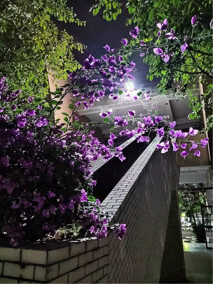 2025-05-10 15:10:33.269000