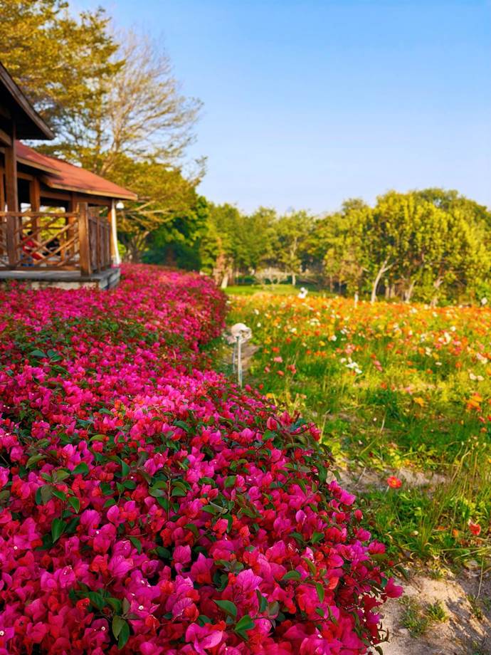 3a5c8020a22a67c72ecdb8f0a857ae3