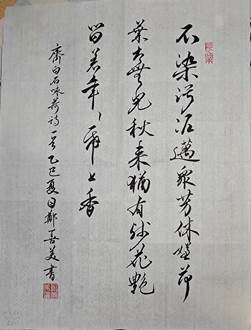 图示, 示意图

中度可信度描述已自动生成:ver1