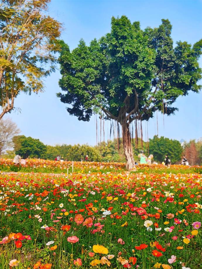 de8d52c663f70c9e63a84131a342cc6