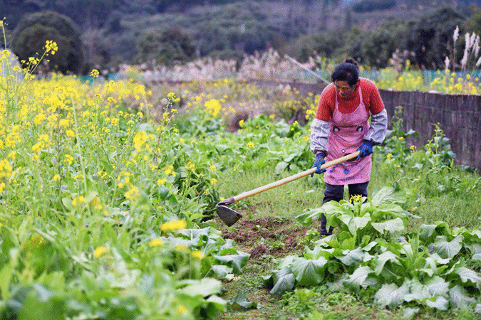 图示, 示意图

中度可信度描述已自动生成:ver1