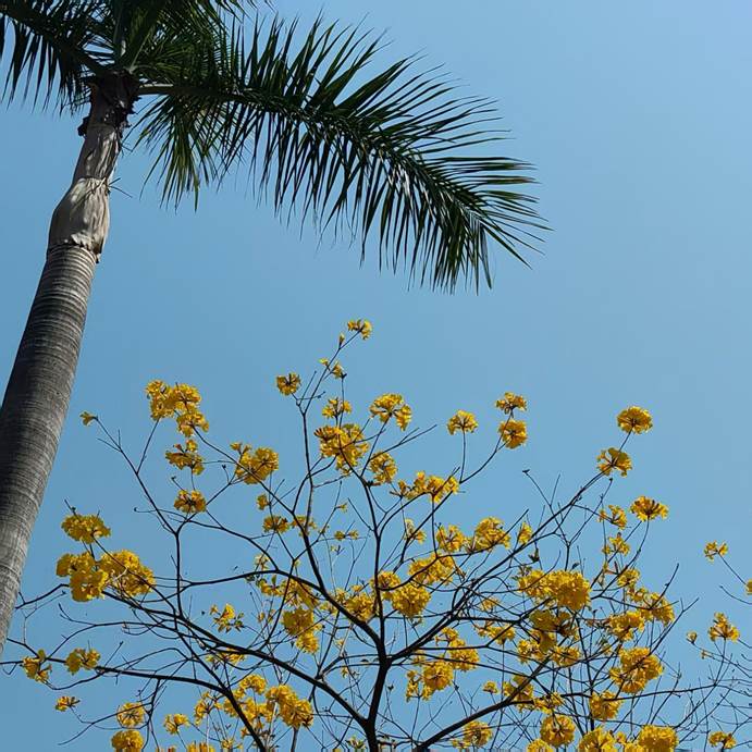 2025-05-10 16:03:30.468000